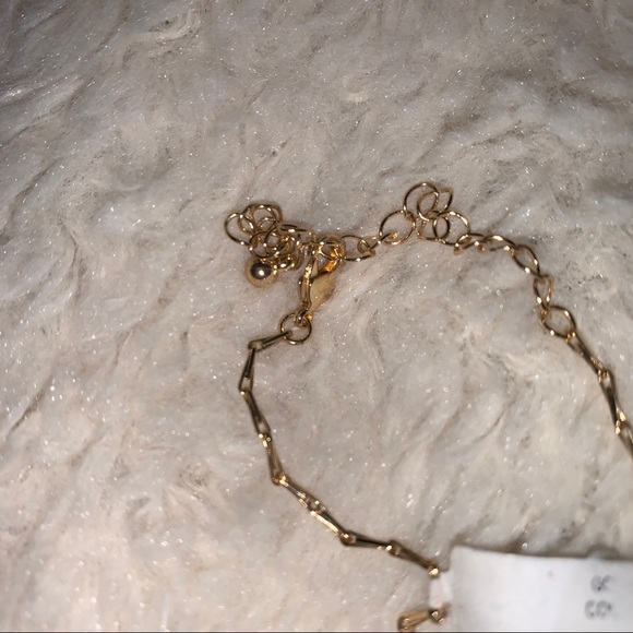 Dry Goods Shell Necklace - Picture 3 of 4